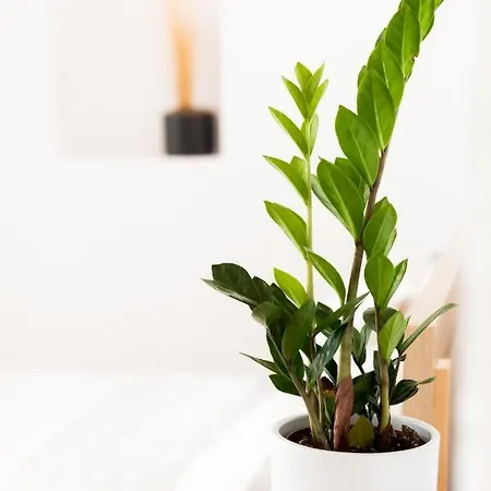 The Famous House Mykonos *