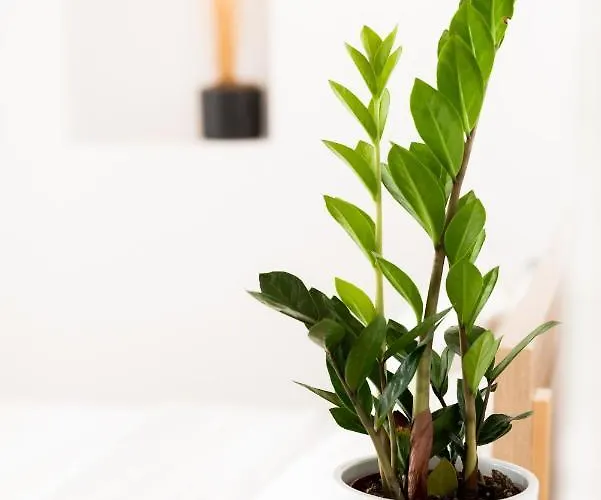 The Famous House Mykonos *